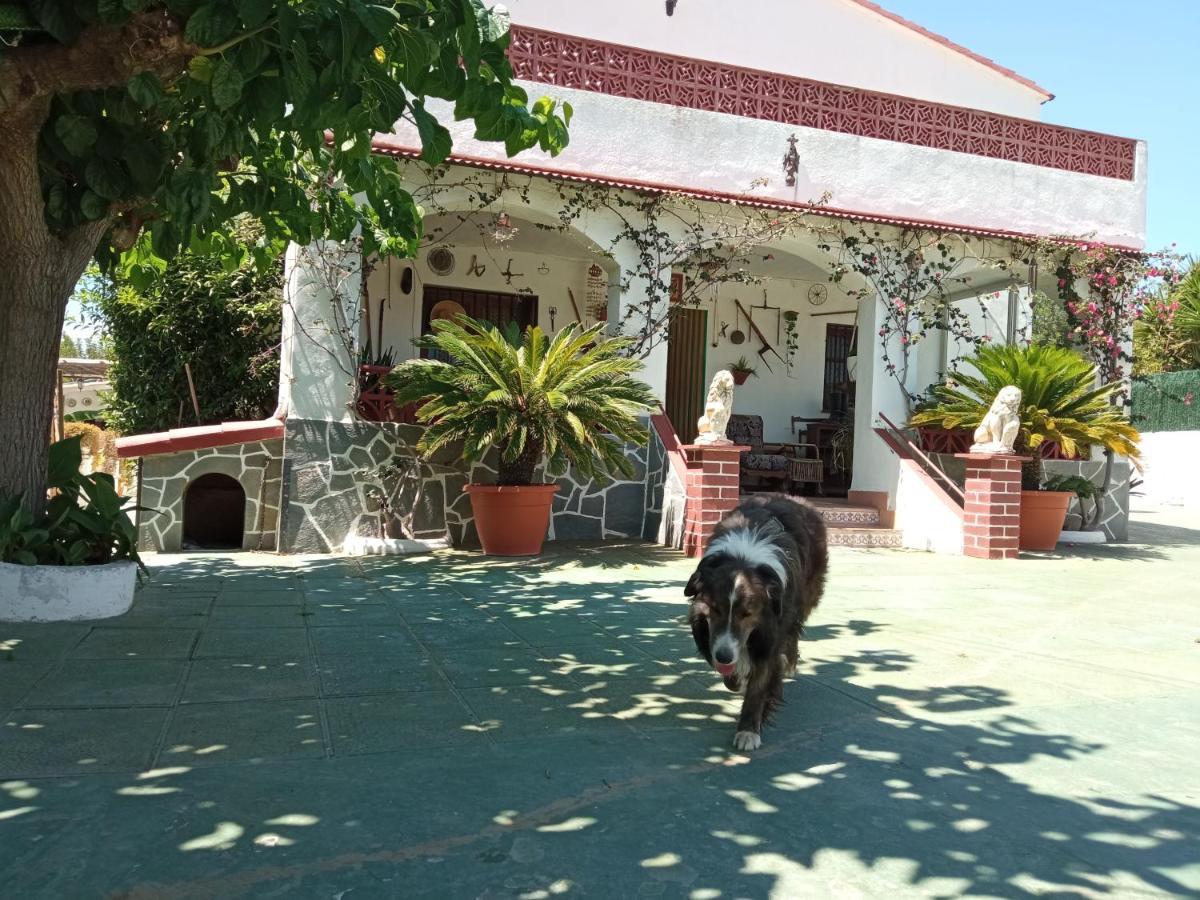 Casa Rural Cal Josefina & Tomas La Riera  エクステリア 写真